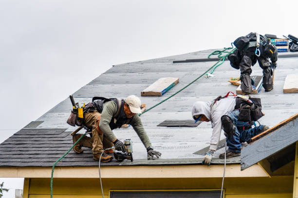 Professional Gutter Installation technician working in Sanders, MT